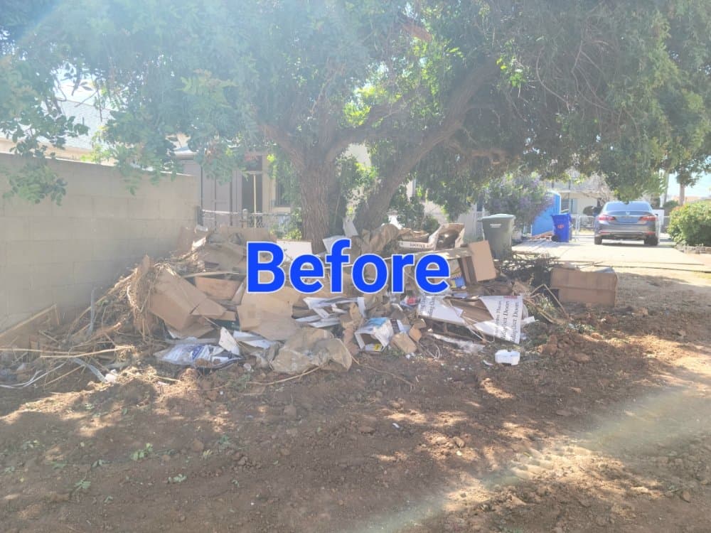 Backyard full of junk